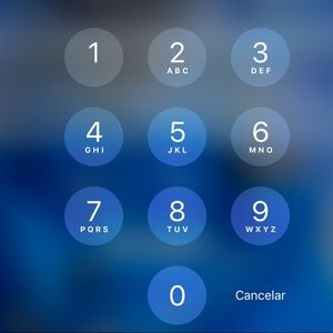 Meet your Posher, Roberto